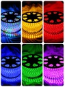 ILV - MANGUERA SMD5050 CON DRIVER RGB 10MT