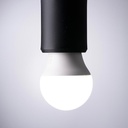 INN- LÁMPARA LED BULBO E26 12W BLANCO FRÍO