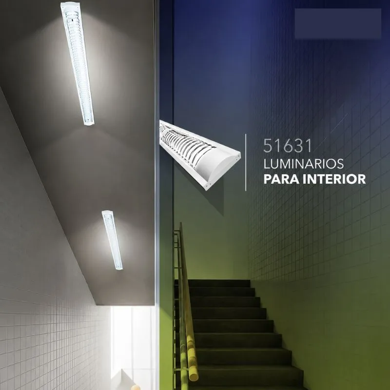 Diseño sin título - 2026-05-21T153629.435.webp