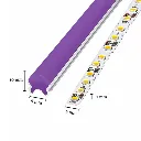 Diseño sin título - 2026-06-17T172720.939.webp
