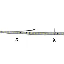 fria (3).webp