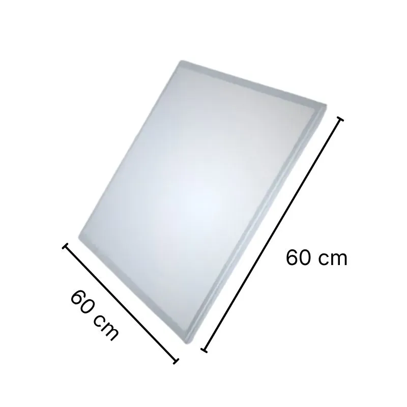Título (8).webp