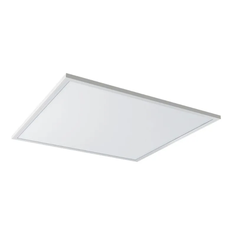 Título (9).webp