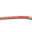 Título (10).webp