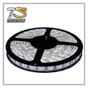 TSH- TIRA LED 60 LM IP33 CW 5050-3 12V