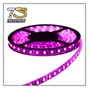 TSH- 5m TIRA LED 60 LM IP65 ROSA 5050-3