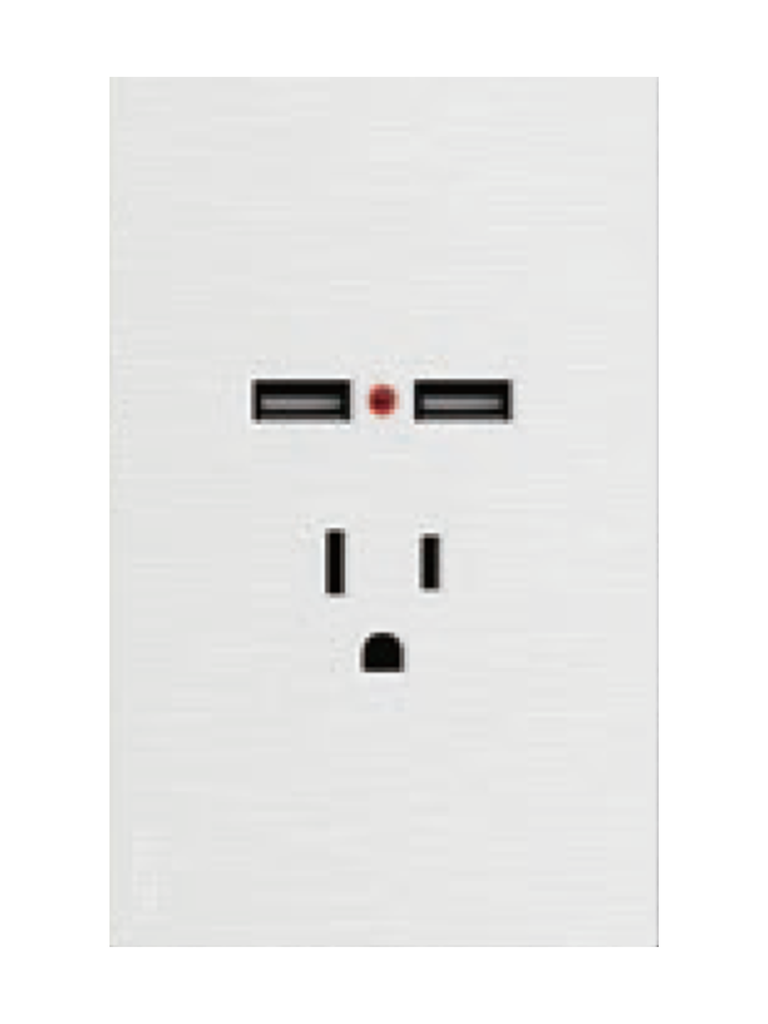 [BF05-B] LCK - PLACA PLANA CON 1 CONTACTO Y 2 ENTRADAS DE USB FLAT BLANCO