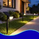 GEO- LUMINARIO SOLAR ESTACA LED CÁLIDO 1 PIEZA