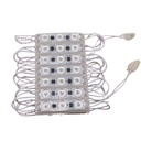 GX- 10pz Módulos Led C/ Lupa 110v Luz Blanco Frio CRISTAL